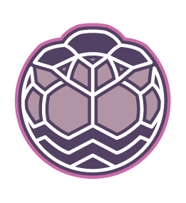 Grands Lacs Handball 40